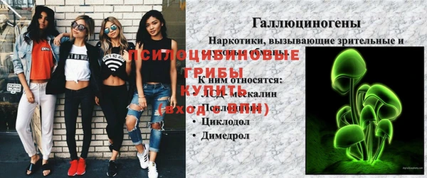 марки lsd Карпинск