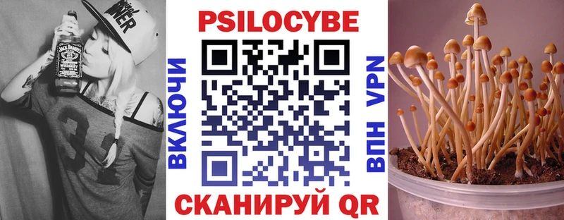 Псилоцибиновые грибы Magic Shrooms  купить закладку  Кировград 